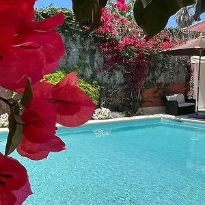 With Private Swimming Pool And Garden Cascaes